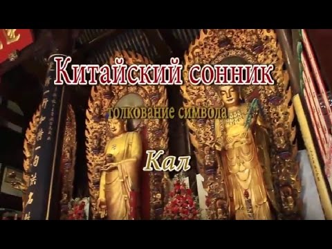 К Чему Снится Кал Женщине: Подробное Толкование и Значение