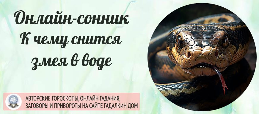 К Чему Снится Змея: значение и толкование сна