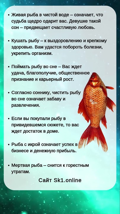 К Чему Снится Рыба: Значение Сна, Символика и Толкования