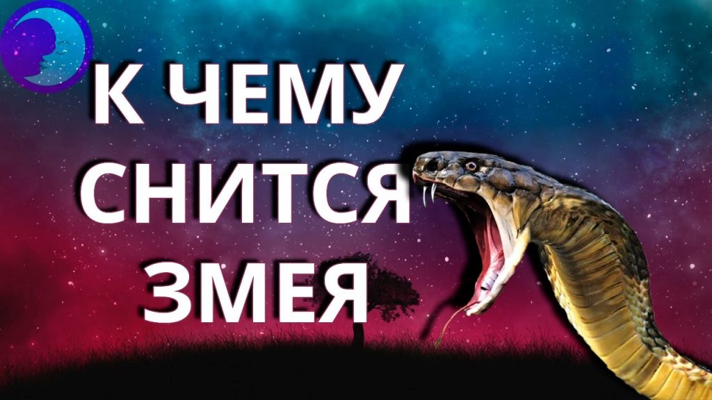 К Чему Снится Змея: значение и толкование сна